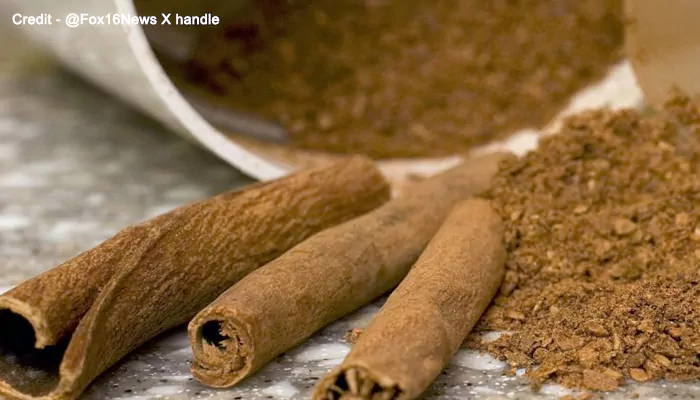 FDA's Big Reveal: Lead Detected in Ground Cinnamon Products; What Every Flavor Fan Needs to Know